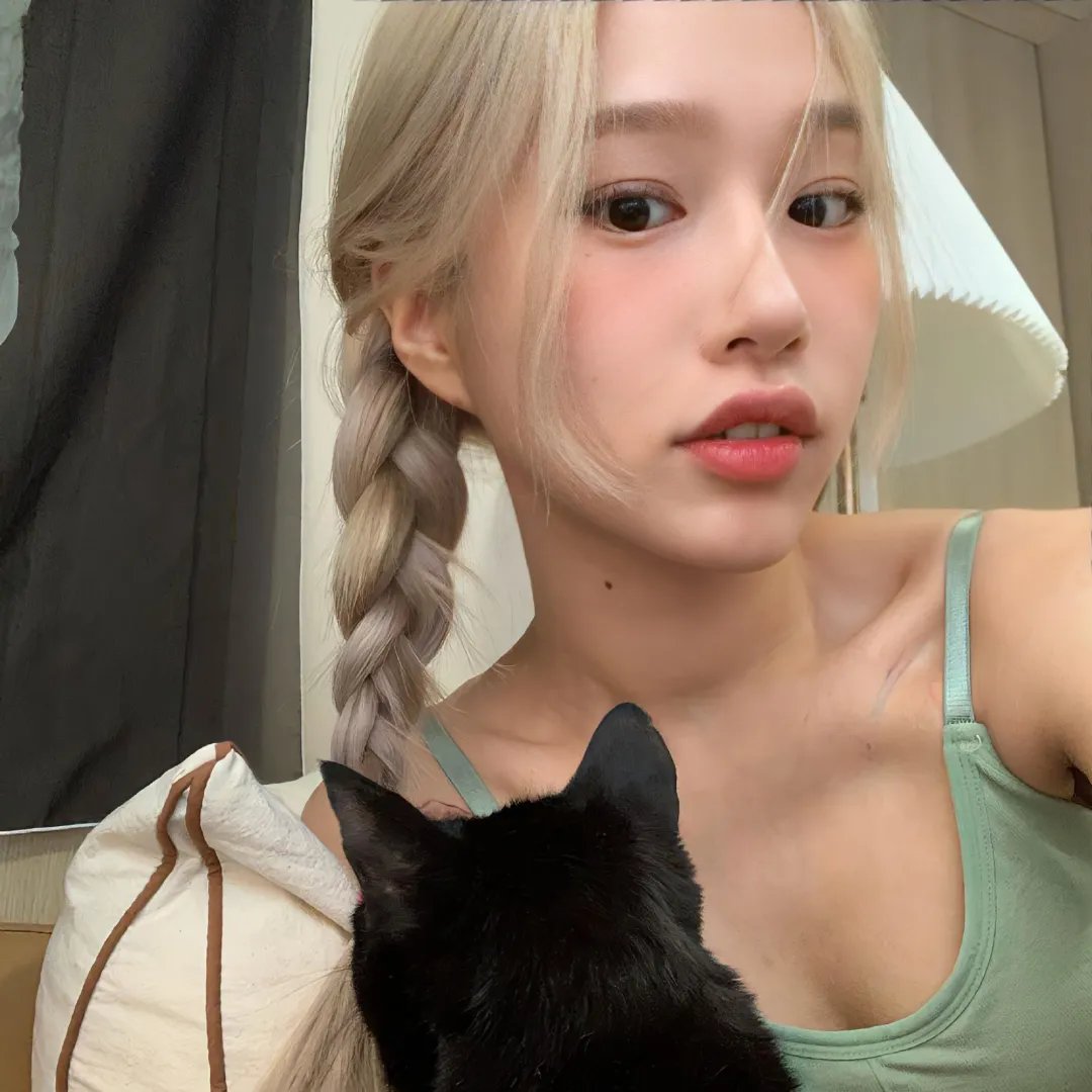 假元首秘纪